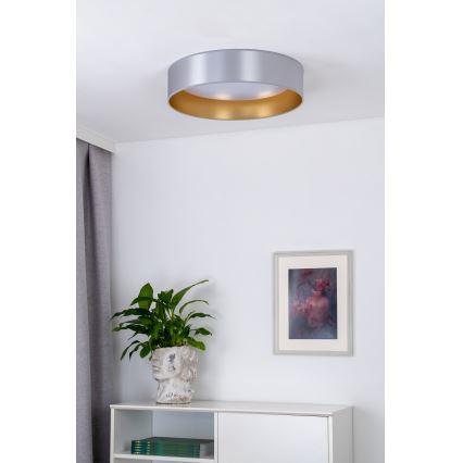 Duolla - LED Stropna svjetiljka ROLLER LED/24W/230V pr. 45 cm srebrna/zlatna