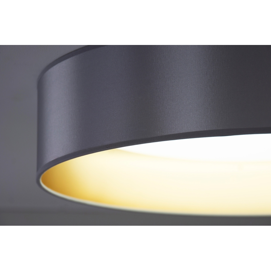 Duolla - LED Stropna svjetiljka ROLLER LED/24W/230V pr. 45 cm srebrna/zlatna