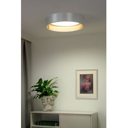 Duolla - LED Stropna svjetiljka ROLLER LED/24W/230V pr. 45 cm srebrna/zlatna