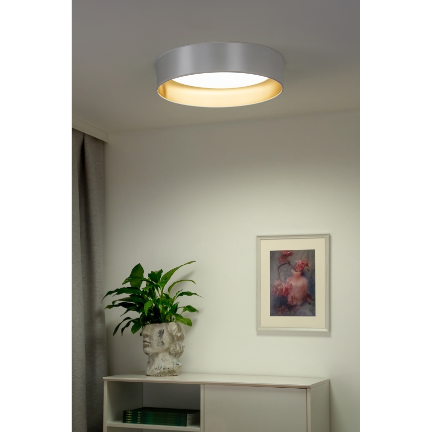 Duolla - LED Stropna svjetiljka ROLLER LED/24W/230V pr. 45 cm srebrna/zlatna