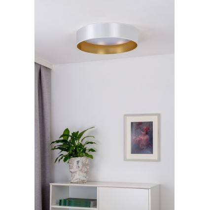 Duolla - LED Stropna svjetiljka ROLLER LED/24W/230V pr. 45 cm srebrna/zlatna
