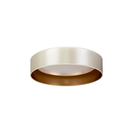 Duolla - LED Stropna svjetiljka ROLLER LED/24W/230V pr. 45 cm srebrna/zlatna
