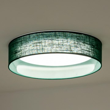 Duolla - LED Stropna svjetiljka ROLLER LED/24W/230V pr. 45 cm zelena
