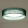 Duolla - LED Stropna svjetiljka ROLLER LED/24W/230V pr. 45 cm zelena