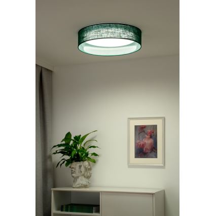 Duolla - LED Stropna svjetiljka ROLLER LED/24W/230V pr. 45 cm zelena