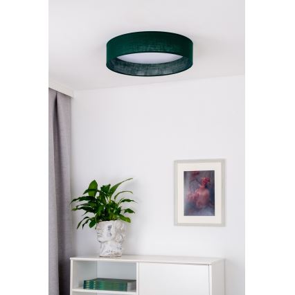 Duolla - LED Stropna svjetiljka ROLLER LED/24W/230V pr. 45 cm zelena