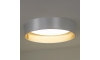 Duolla - LED Stropna svjetiljka ROLLER LED/24W/230V srebrna/zlatna