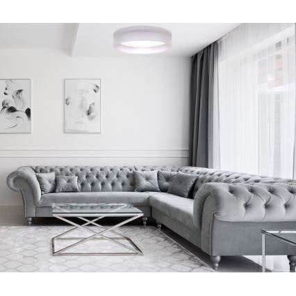 Duolla - LED Stropna svjetiljka ROLLER LED/24W/230V svijetla pr. 45 cm siva