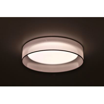 Duolla - LED Stropna svjetiljka ROLLER LED/24W/230V svijetla pr. 45 cm siva