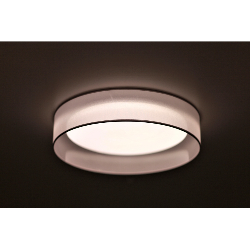 Duolla - LED Stropna svjetiljka ROLLER LED/24W/230V svijetla pr. 45 cm siva