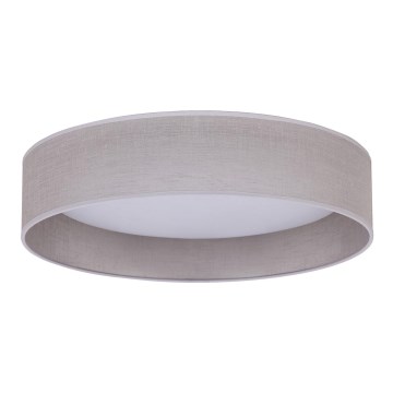 Duolla - LED Stropna svjetiljka ROLLER LED/24W/230V svijetla pr. 45 cm siva