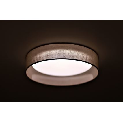 Duolla - LED Stropna svjetiljka ROLLER LED/24W/230V svijetla pr. 45 cm siva