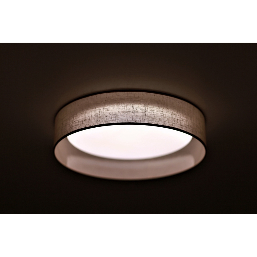 Duolla - LED Stropna svjetiljka ROLLER LED/24W/230V svijetla pr. 45 cm siva