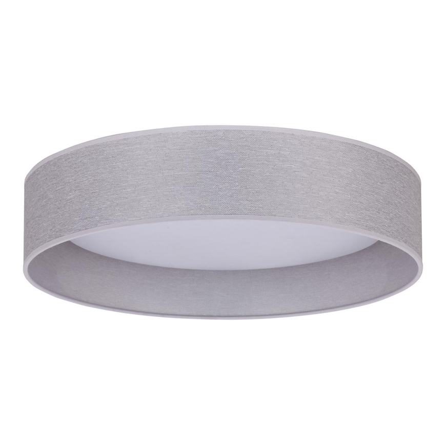 Duolla - LED Stropna svjetiljka ROLLER LED/24W/230V svijetla pr. 45 cm siva
