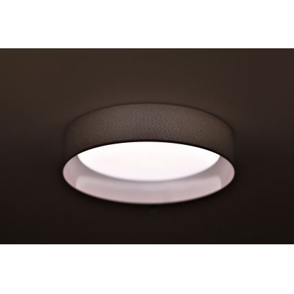 Duolla - LED Stropna svjetiljka ROLLER LED/24W/230V svijetla pr. 45 cm siva