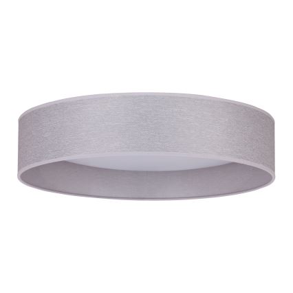 Duolla - LED Stropna svjetiljka ROLLER LED/24W/230V svijetla pr. 45 cm siva