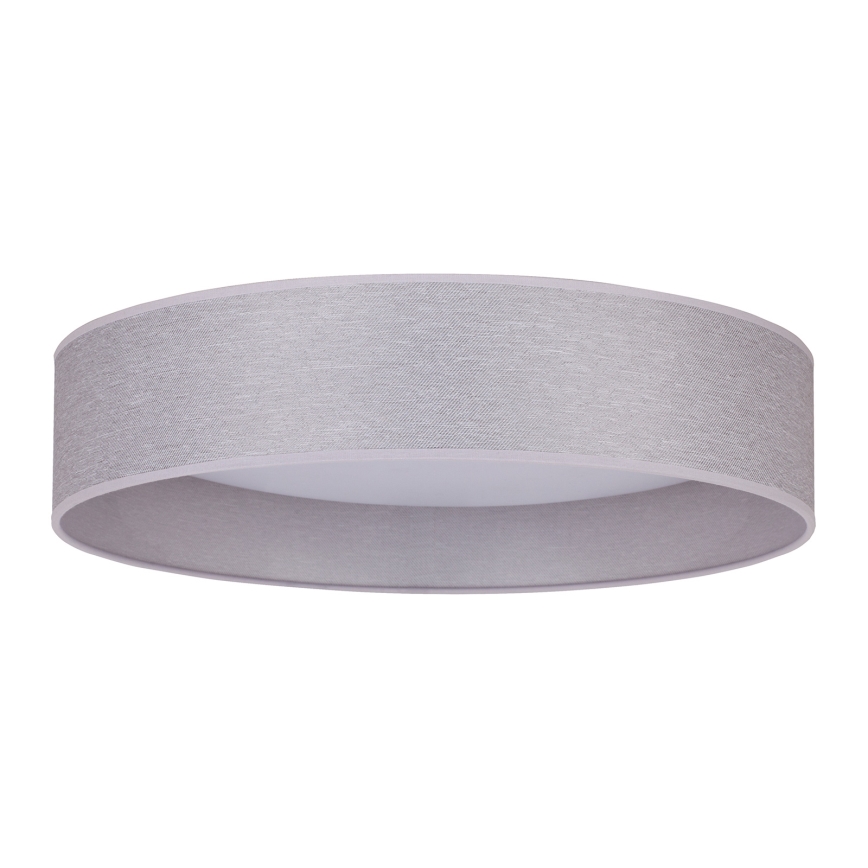 Duolla - LED Stropna svjetiljka ROLLER LED/24W/230V svijetla pr. 45 cm siva