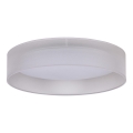 Duolla - LED Stropna svjetiljka ROLLER LED/24W/230V svijetlosiva