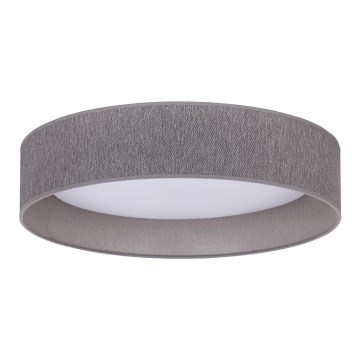 Duolla - LED Stropna svjetiljka ROLLER LED/24W/230V tamna pr. 45 cm siva