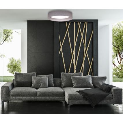 Duolla - LED Stropna svjetiljka ROLLER LED/24W/230V tamna pr. 45 cm siva