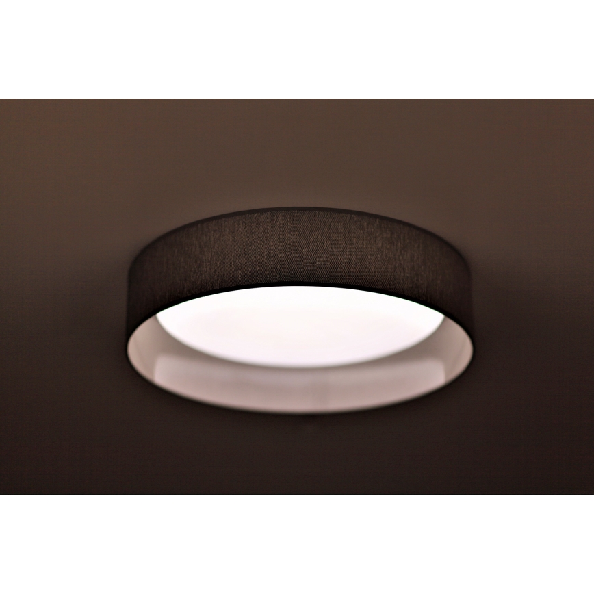 Duolla - LED Stropna svjetiljka ROLLER LED/24W/230V tamna pr. 45 cm siva