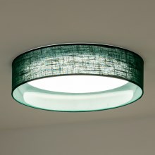 Duolla - LED Stropna svjetiljka ROLLER LED/24W/230V zelena