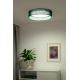 Duolla - LED Stropna svjetiljka ROLLER LED/24W/230V zelena