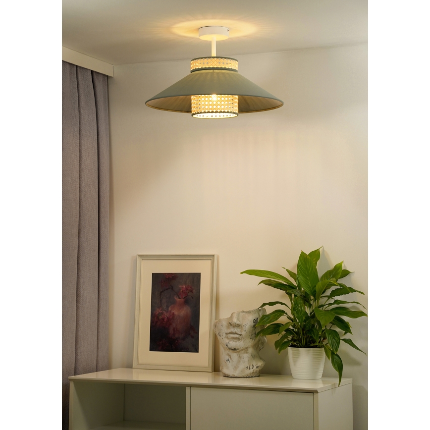 Duolla - Nadgradni luster RIO RATTAN 1xE27/15W/230V pr. 45 cm zelena/ratan