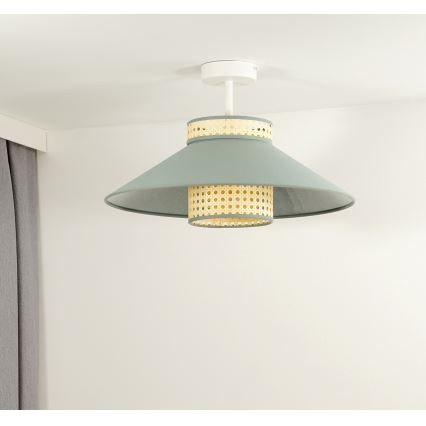 Duolla - Nadgradni luster RIO RATTAN 1xE27/15W/230V pr. 45 cm zelena/ratan