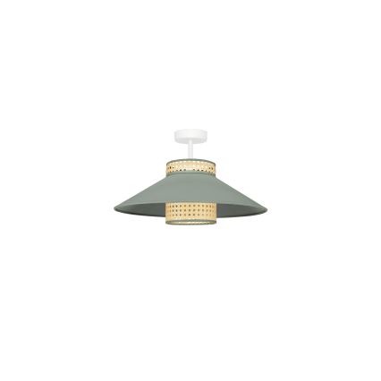 Duolla - Nadgradni luster RIO RATTAN 1xE27/15W/230V pr. 45 cm zelena/ratan
