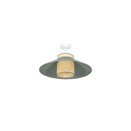 Duolla - Nadgradni luster RIO RATTAN 1xE27/15W/230V pr. 45 cm zelena/ratan