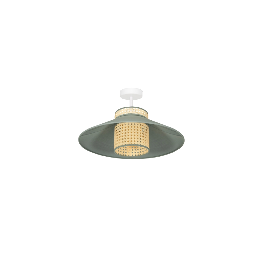 Duolla - Nadgradni luster RIO RATTAN 1xE27/15W/230V pr. 45 cm zelena/ratan