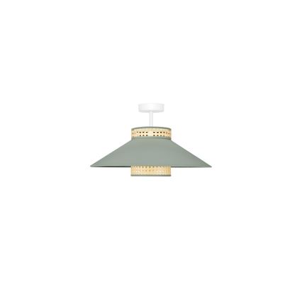 Duolla - Nadgradni luster RIO RATTAN 1xE27/15W/230V pr. 45 cm zelena/ratan