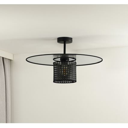Duolla - Nadgradni luster TOKYO RATTAN 1xE27/15W/230V pr. 50 cm crna/srebrna
