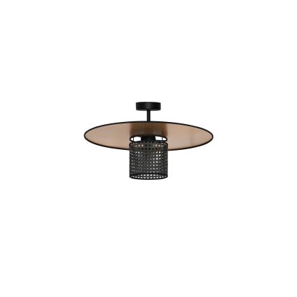 Duolla - Nadgradni luster TOKYO RATTAN 1xE27/15W/230V pr. 50 cm zlatna/crna