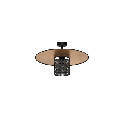 Duolla - Nadgradni luster TOKYO RATTAN 1xE27/15W/230V pr. 50 cm zlatna/crna