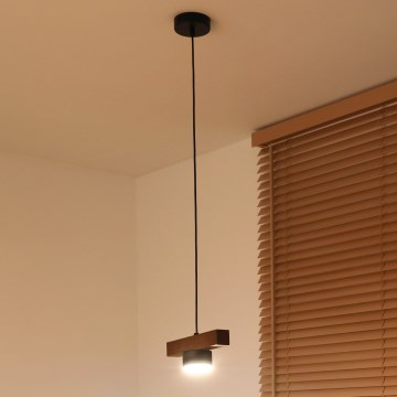 Duolla - Viseći luster na sajli IRONLINE 1xGX53/3W/230V borovina hrast/crna