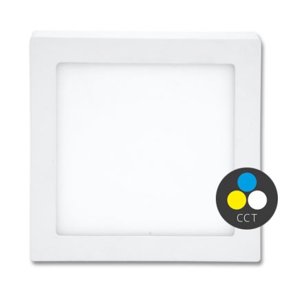 LED Stropna svjetiljka RAFA LED/12W/230V 3000/4000/6000K 17x17 cm bijela