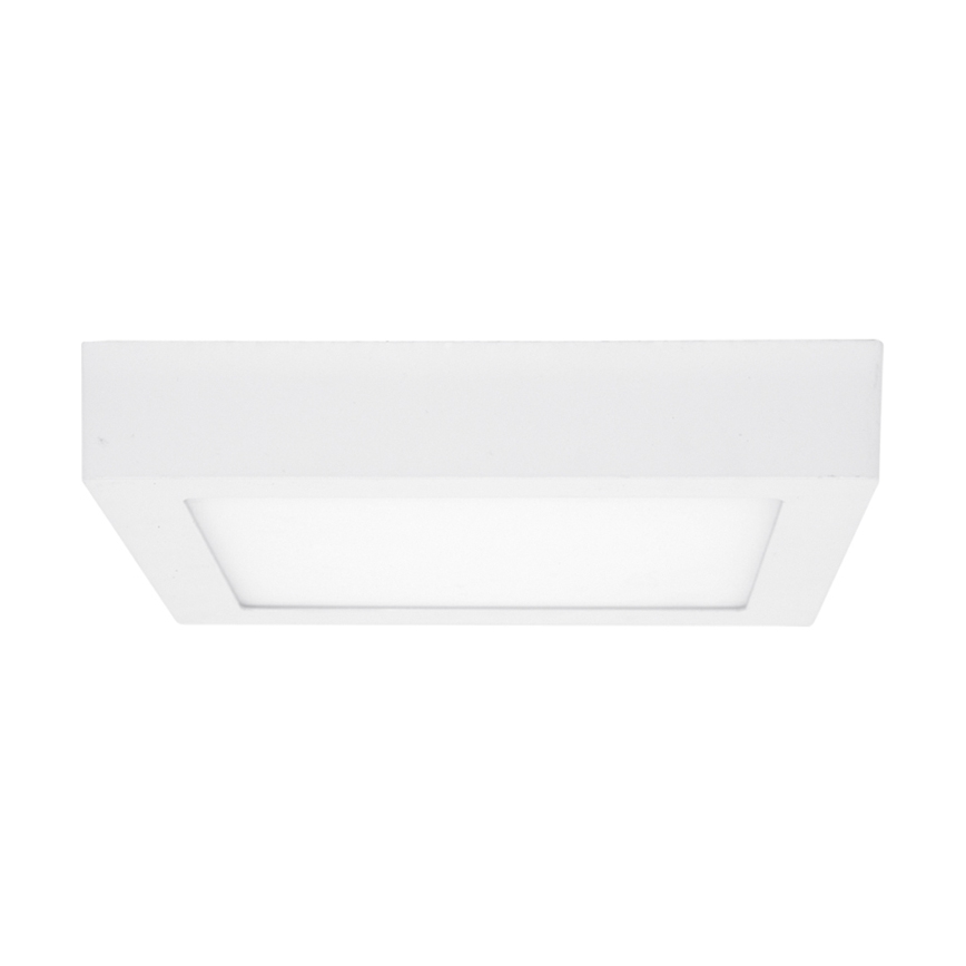 LED Stropna svjetiljka RAFA LED/25W/230V 3000/4000/6000K 30x30 cm bijela