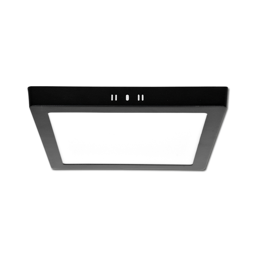 LED Stropna svjetiljka RAFA LED/25W/230V 3000/4000/6000K 30x30 cm crna