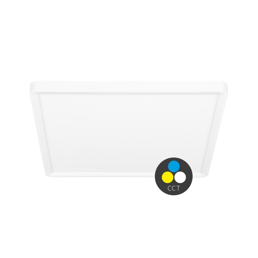 LED Stropna svjetiljka TERY LED/40W/230V 3000/4000/6000K 50x50 cm IP40 bijela