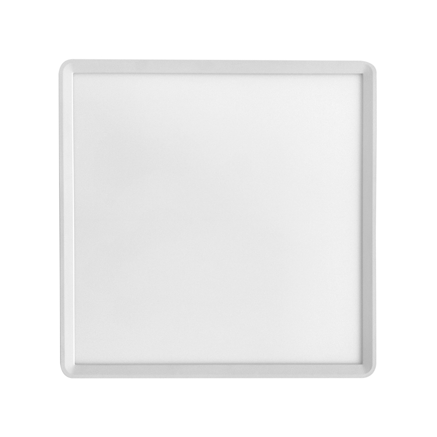 LED Stropna svjetiljka TERY LED/40W/230V 3000/4000/6000K 50x50 cm IP40 bijela