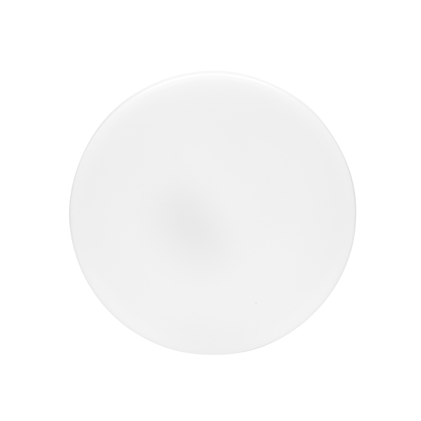 LED Stropna svjetiljka za kupaonicu LIRA LED/12W/230V 4000K pr. 24 cm IP44