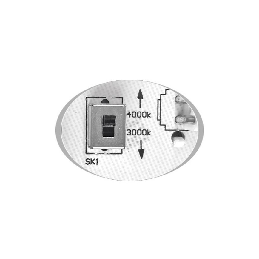LED Vanjska stropna svjetiljka MARTIN LED/15W/230V 3000/4000K pr. 30 cm IP65 crna