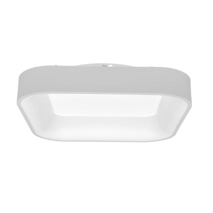 LED Prigušiva stropna svjetiljka NEST LED/40W/230V 3000-6500K bijela