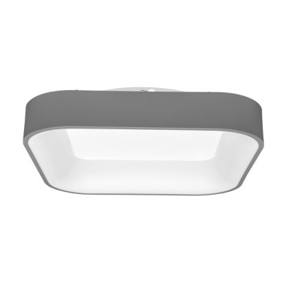 LED Prigušiva stropna svjetiljka NEST LED/40W/230V 3000-6500K siva