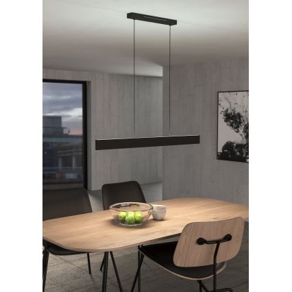 Eglo 31433 - LED RGBW Prigušivi luster na sajli ANDREAS-Z LED/38W/230V 2700-6500K crna