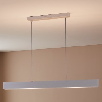 Eglo 31436 - LED RGBW Prigušivi luster na sajli ANDREAS-Z LED/38W/230V 2700-6500K bijela