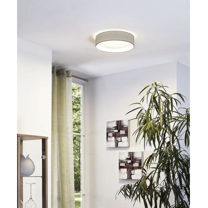 Eglo - LED Stropna svjetiljka 1xLED/11W/230V
