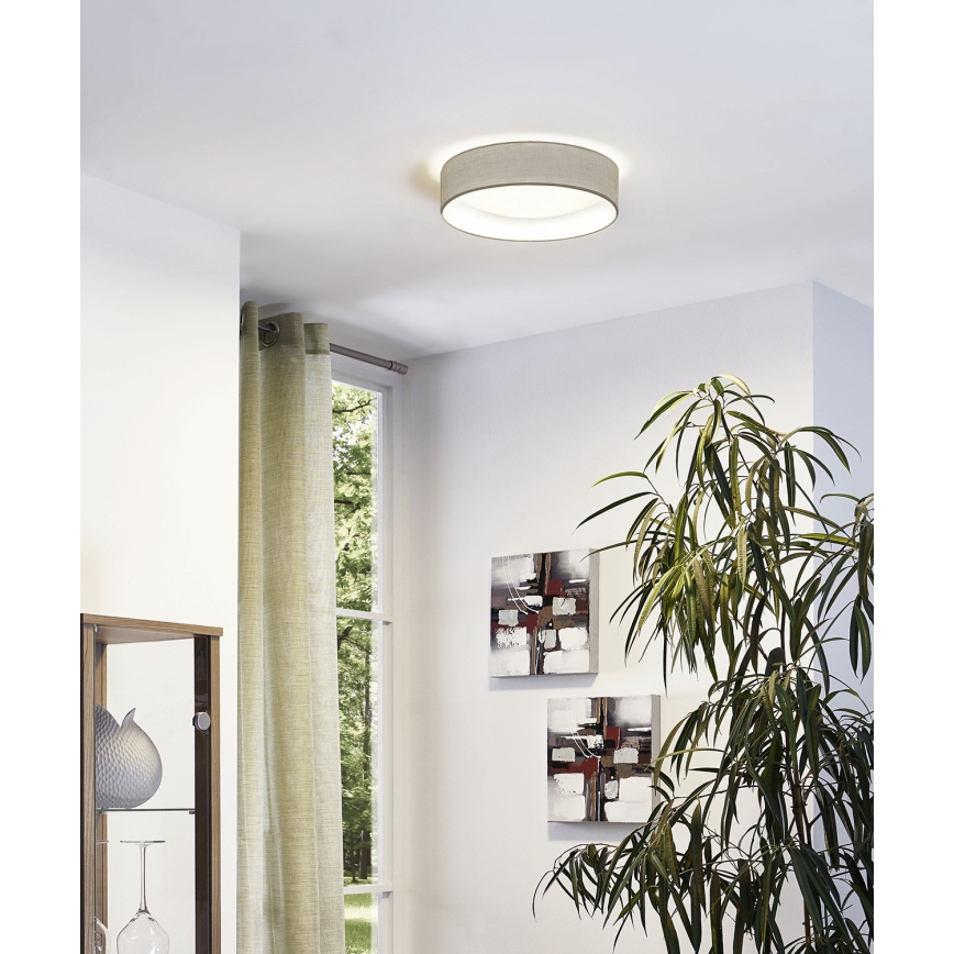 Eglo - LED Stropna svjetiljka 1xLED/11W/230V